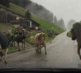 Wandern Balderschwang