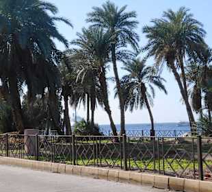 Al-Hafayer Park