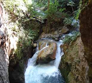 Ausblick beim Ziplining