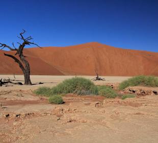 Death Vlei
