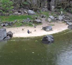 Tierpark