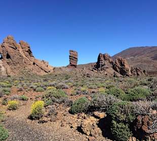 Am Pico del Teide