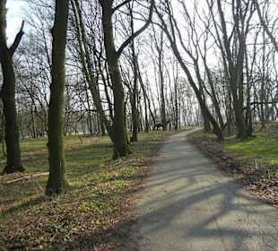 Wunderschöne Boberger Niederung