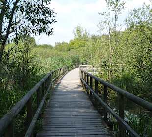 Auf dem Radweg von Klink nach Waren