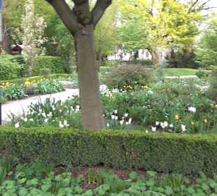 Riedergarten