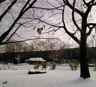 Winterlicher Spaziergang im Grugapark in Essen
