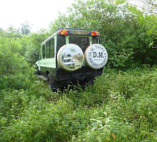 Das geht eben nur mit einem Jeep