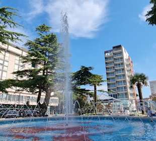 Kühl - Schattig und schöne Bäume