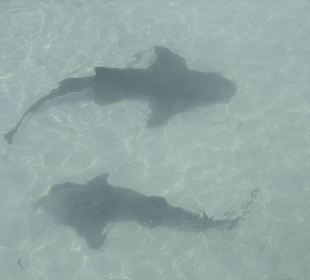 Isla Mujeres