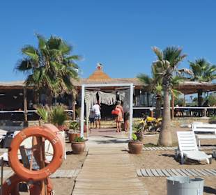 Viking Beach Club