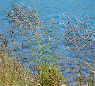 Seele baumeln lassen