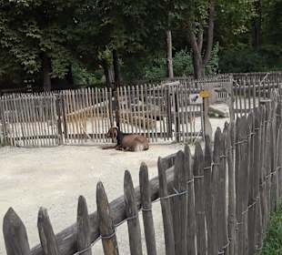 Tierpark Hellabrunn