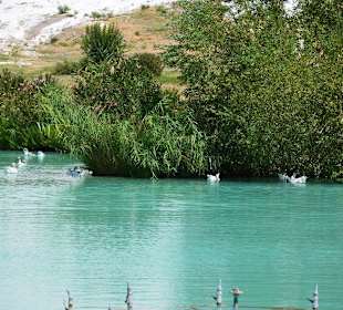 Jezioro u podnóża Pamukkale