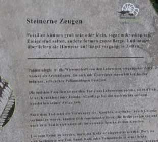 Dinosaurier Museum Altmühltal