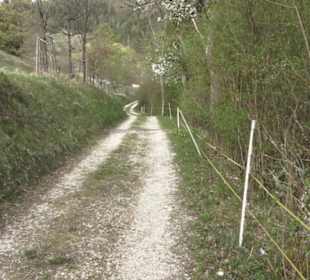 Wanderweg Hochgehswiggert