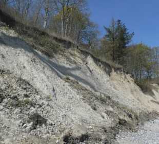 Bei unserer Wanderung an der Brodtener Steilküste
