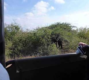 Krüger Nationalpark