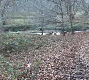 Schönbuch Schaichtal