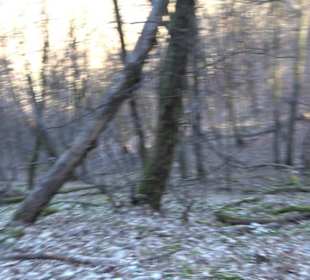 Wandertour Eppenzill