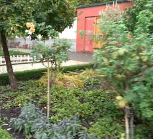 Orientalischer Garten