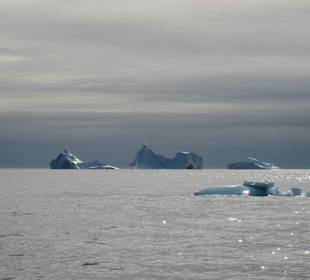 Bootsfahrt zwischen Eisbergen