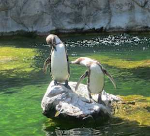 Bin ich gut im Bild? :-)