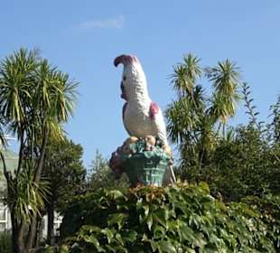 Botanischer Garten München