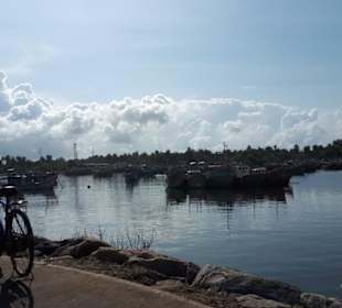 Am Hafen von Beruwela