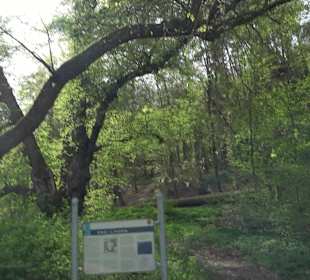 Walderlebnisweg Rottenburg