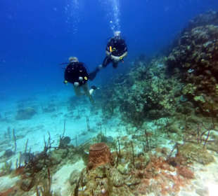 Ganz entspanntes Tauchen