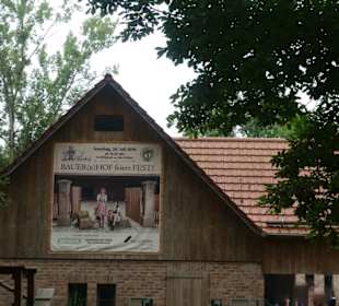 Bei einem Bummel durch den Wildpark an den Eichen