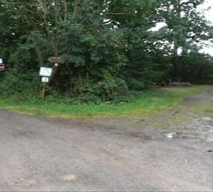 FriedWald Schönbuch