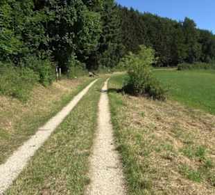 Ameisenlehrpfad Holzelfingen