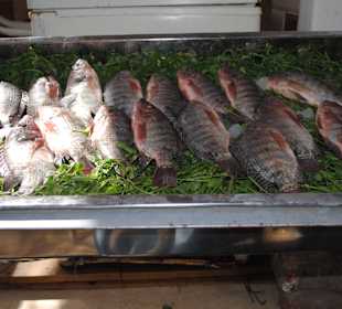 Obst- und Gemüsemarkt