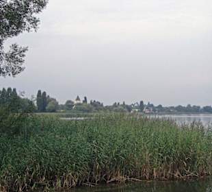 Reichenau