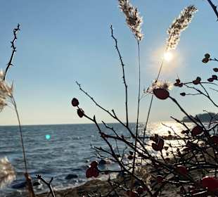 Strand Göhren auf Rügen