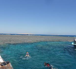 Auf geht´s...was man hier zu sehen bekommt 