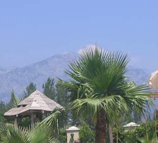 Aussicht vom Pool aus