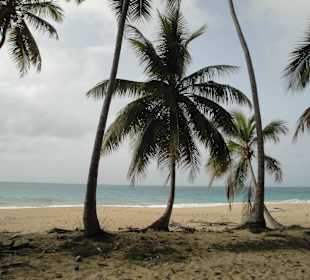 Blicke zurück zur Lagune