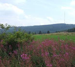 Blick von der B278 am Roten Moor hinüber zum Heidelstein