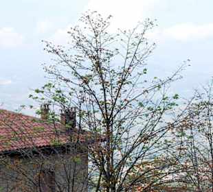 Сан-Марино расположено на наклонах горы Титано.