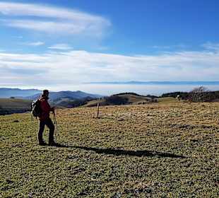 Bergwelt Schauinsland