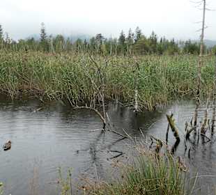 Unterwegs im Wandergebiet von Inzell