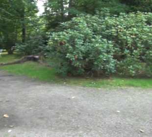 Barockschloss Rammenau