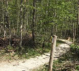 Wanderweg Hochgehwachsen
