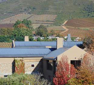 Weingut Tokara in Stellenbosch