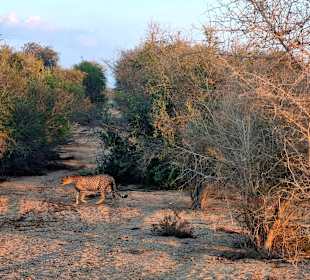 Arabian Wildlife Park