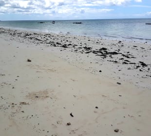 Strand Jambiani