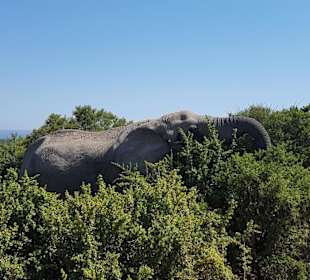 Sehr schön anzusehen