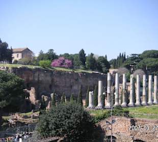 Ruinen im Forum Romanum